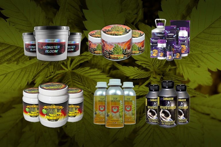 BUD BURSTING AND FATTENING, PK, TRICKS