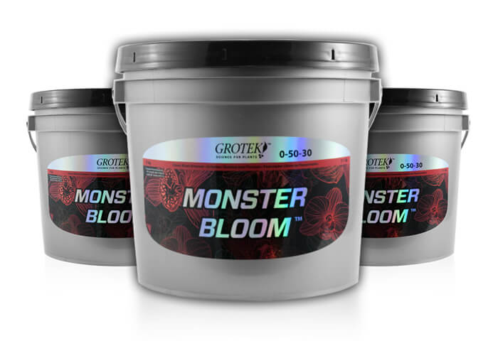 monster bloom