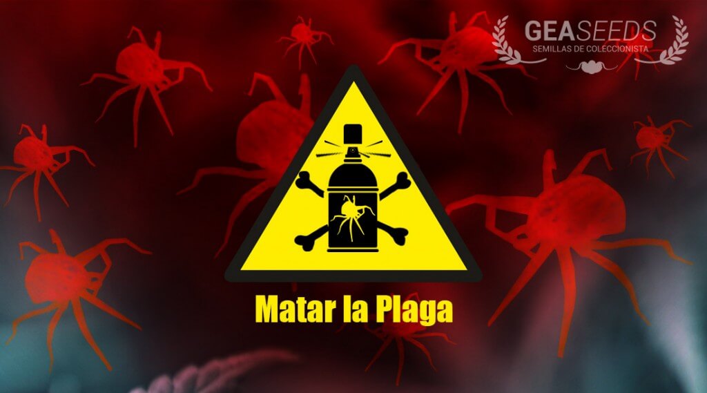 Símbolo de peligro con el texto de matar araña roja y un ácaro dibujado en el