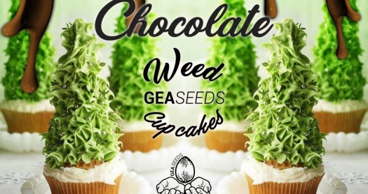 chocoweed cupcake