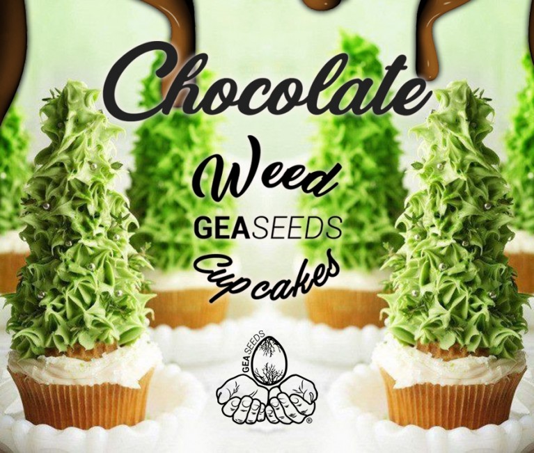 chocoweed cupcake