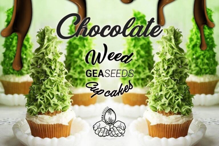 chocoweed cupcake