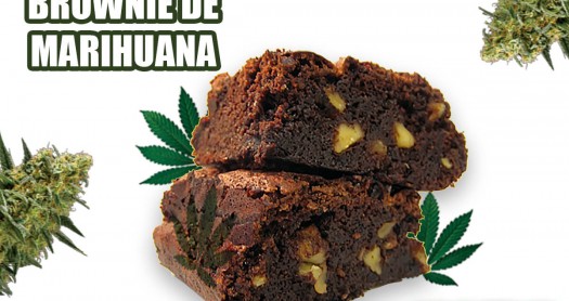 Brownie de cannabis