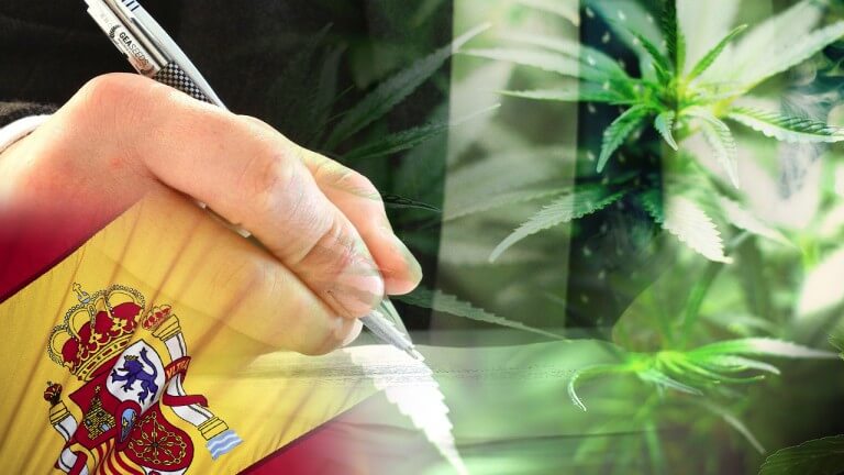 marihuana en españa