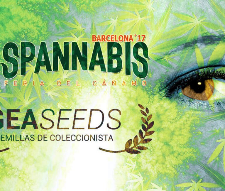 spannabis geaseeds