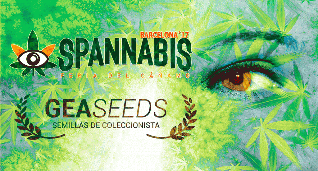 Spannabis Gea Seeds
