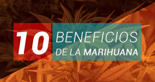 10 BENEFICIOS DE LA MARIHUANA