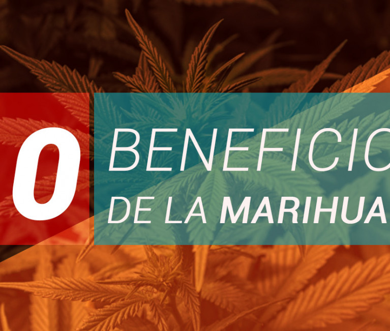 10 BENEFICIOS DE LA MARIHUANA