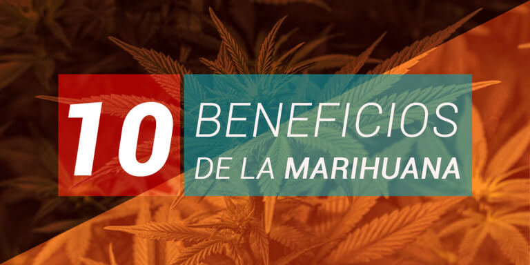 10 BENEFICIOS DE LA MARIHUANA