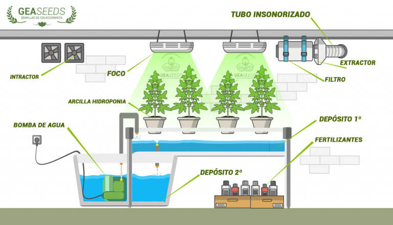 como preparar un cultivo hydroponico