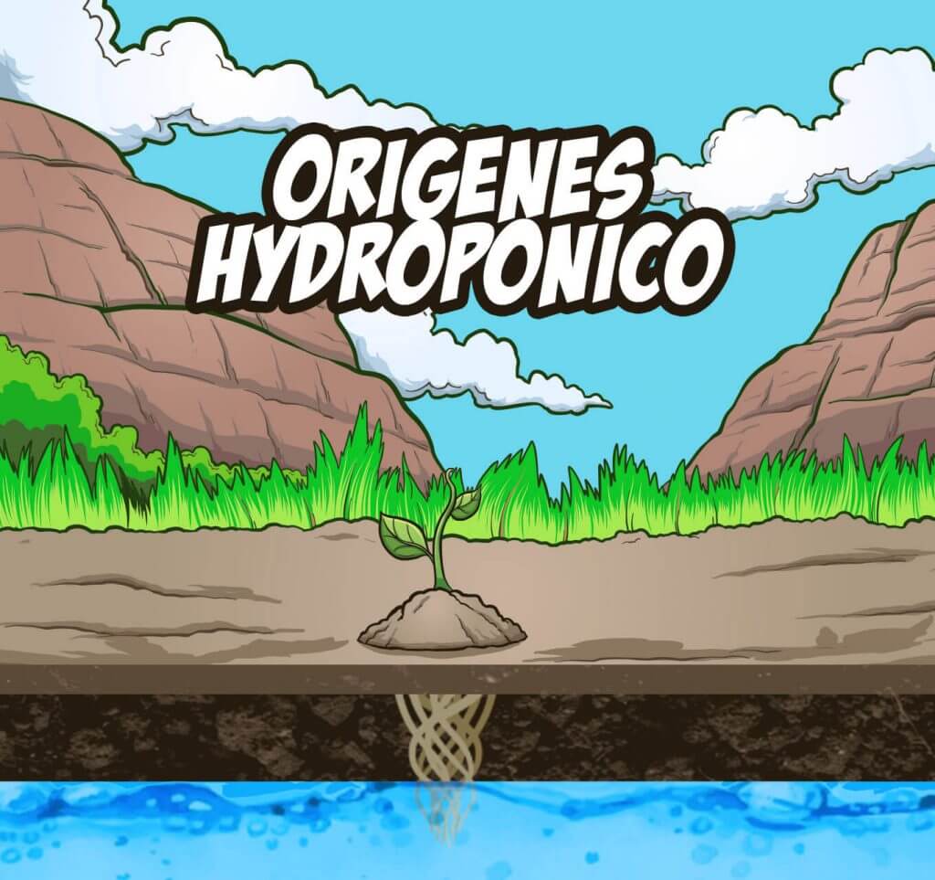 orígenes del cultivo hidropónico