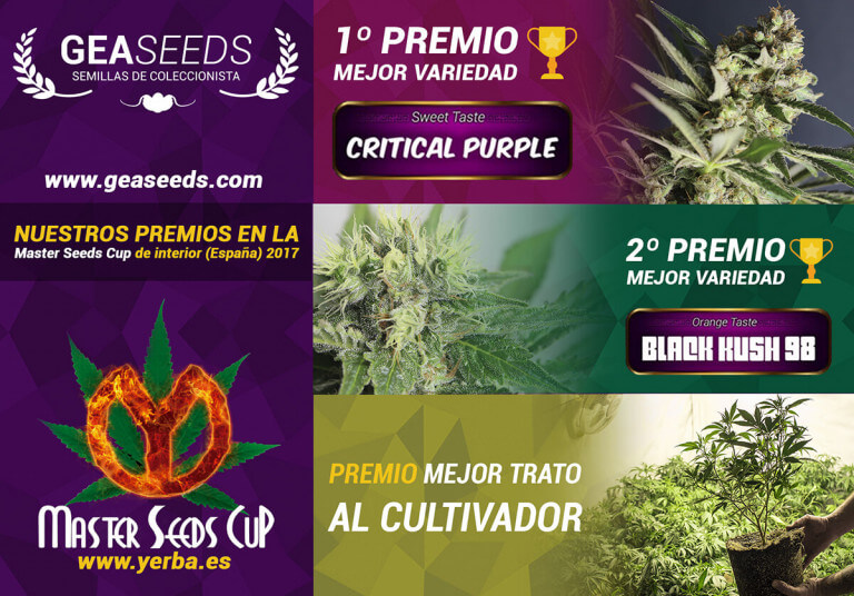 premios gea seeds