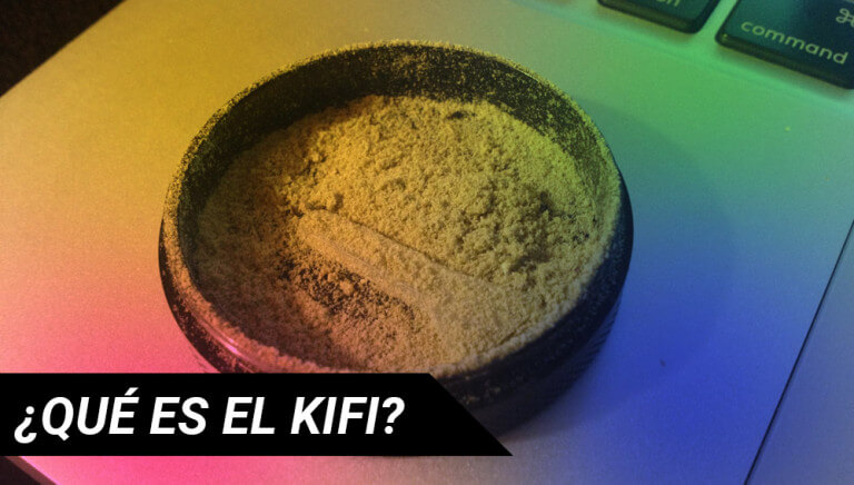 kifi-blog