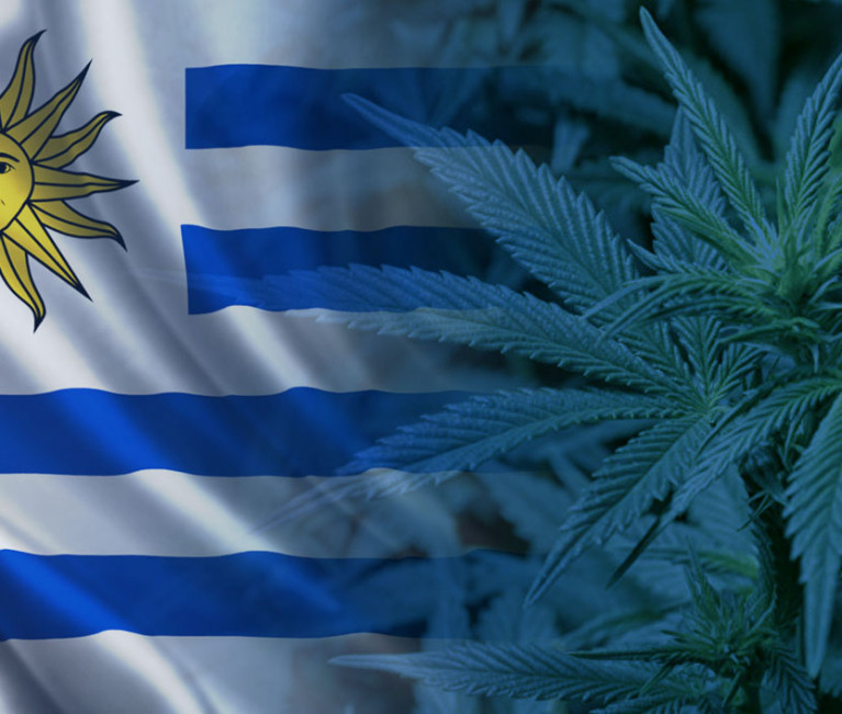 marihuana Uruguay
