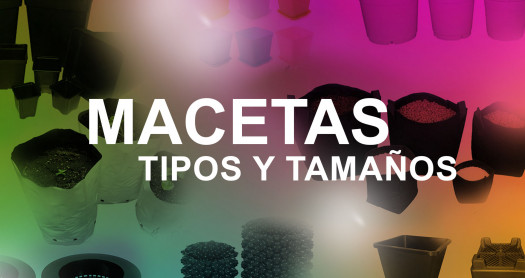 macetas tipos