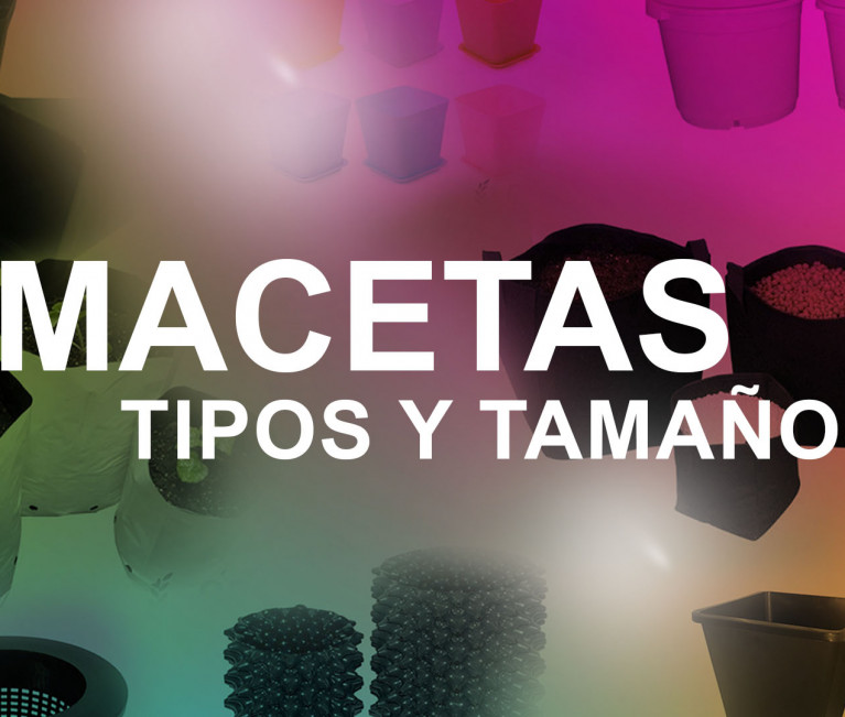 macetas tipos