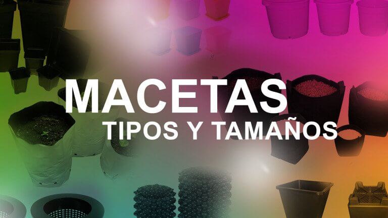 macetas tipos