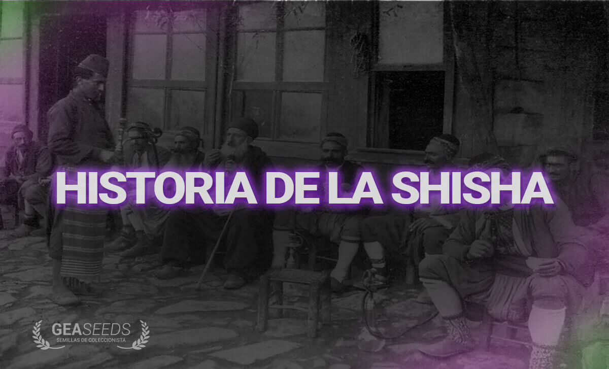 HISTORIA DE LA SHISHA