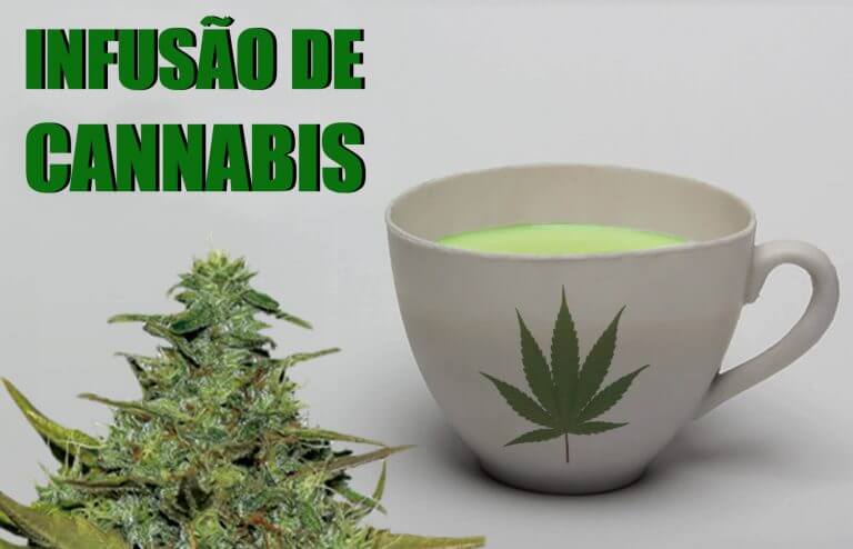 infusao-cannabis