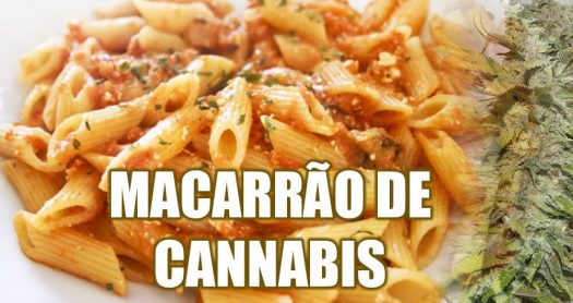 macarrao-cannabis