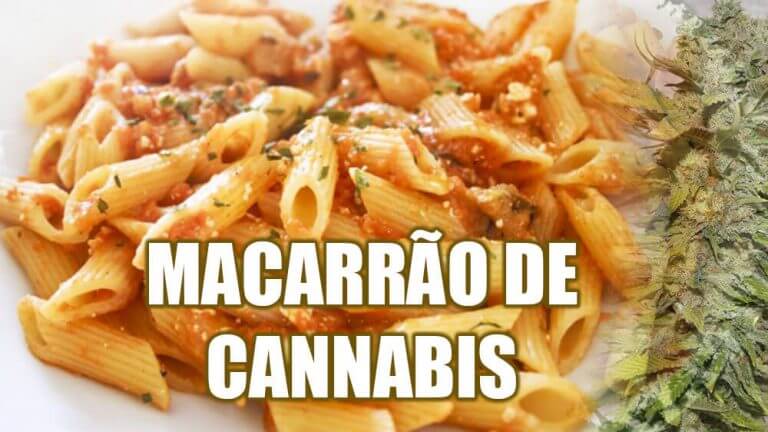 macarrao-cannabis