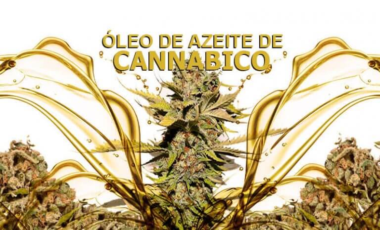 oleo-azeite-cannabico