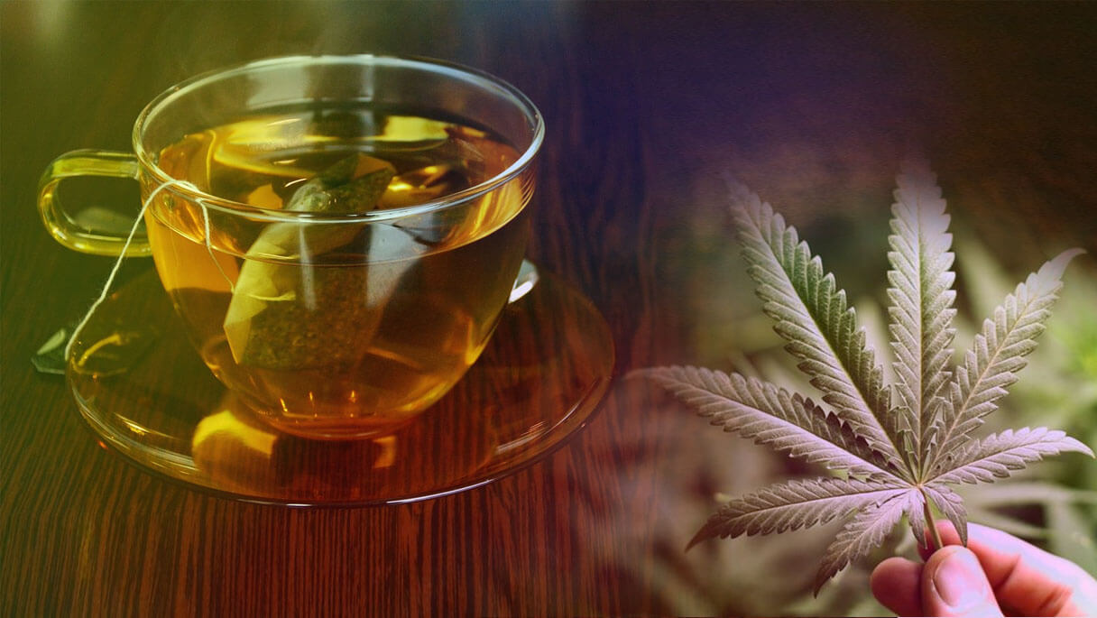 thé vert à base de cannabis