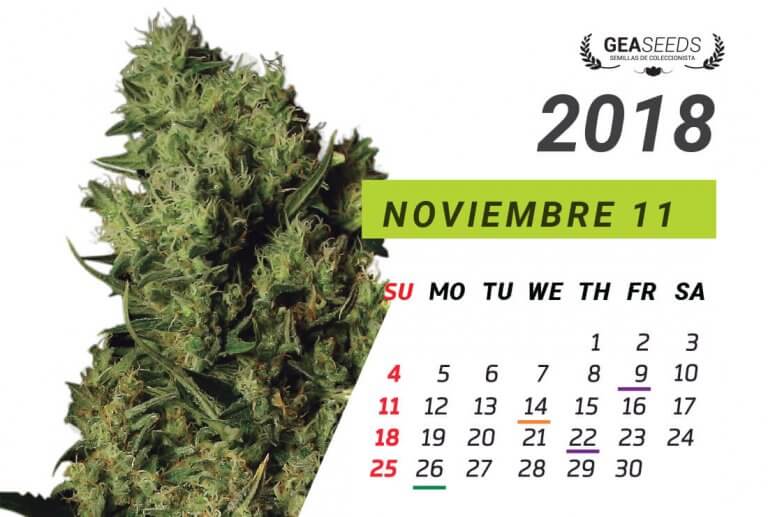 calendario lunar de cannabis calendario lunar de cannabis