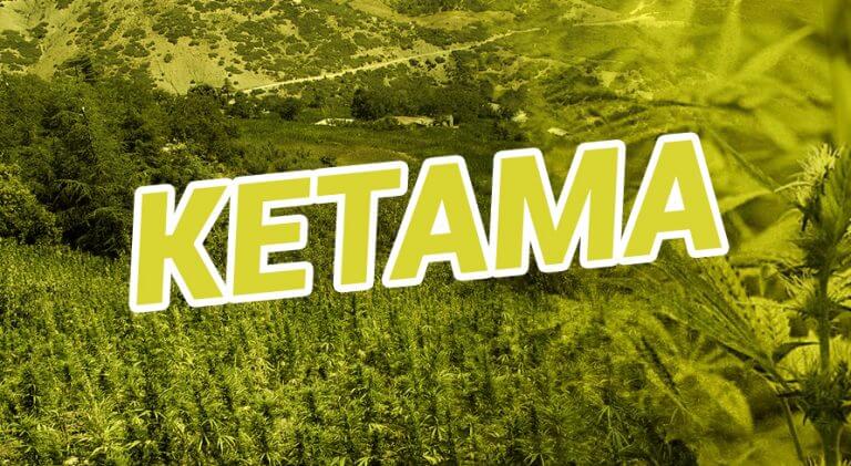 Ketama