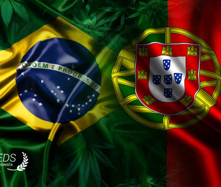 brasil portugal geaseeds