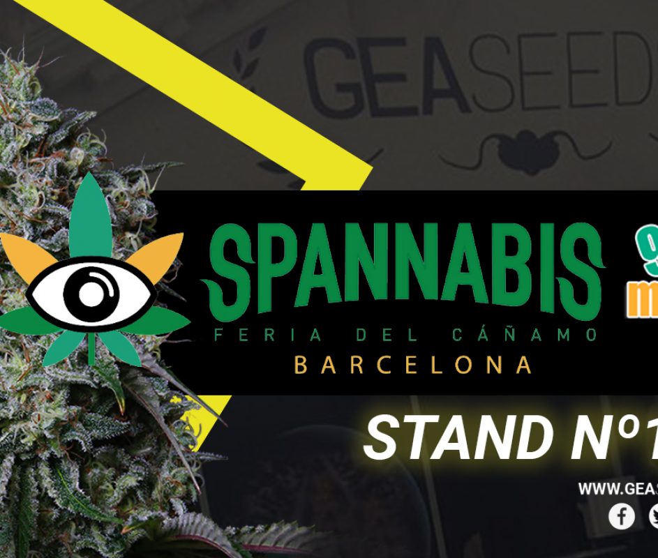 SPANNABIS BARCELONA 2018