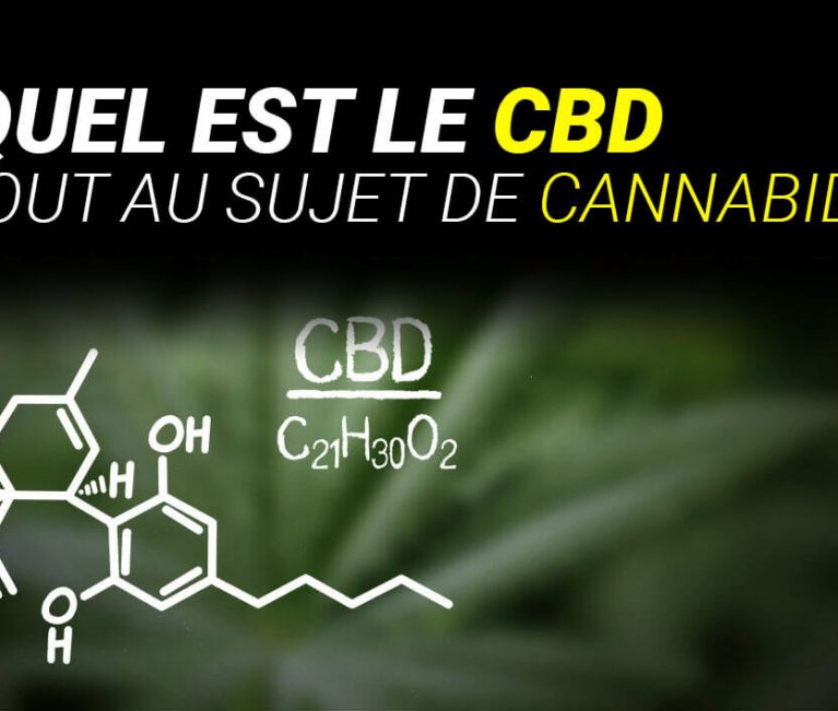 TOUT SUR LES EFFETS, LES AVANTAGES, LES PROPRIÉTÉS DU CBD (CANNABIDIOL …)