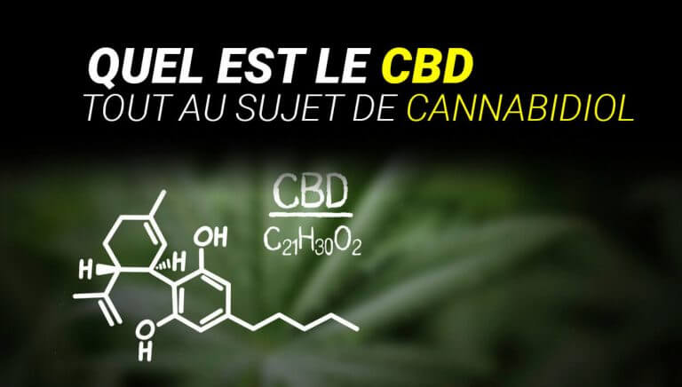 TOUT SUR LES EFFETS, LES AVANTAGES, LES PROPRIÉTÉS DU CBD (CANNABIDIOL …)