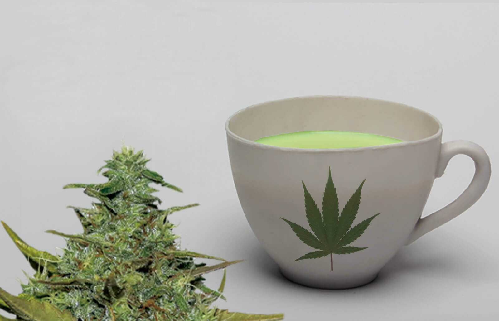 How to Make Cannabis Tea: Healthy Recipes for DIY Cannabis-Infused