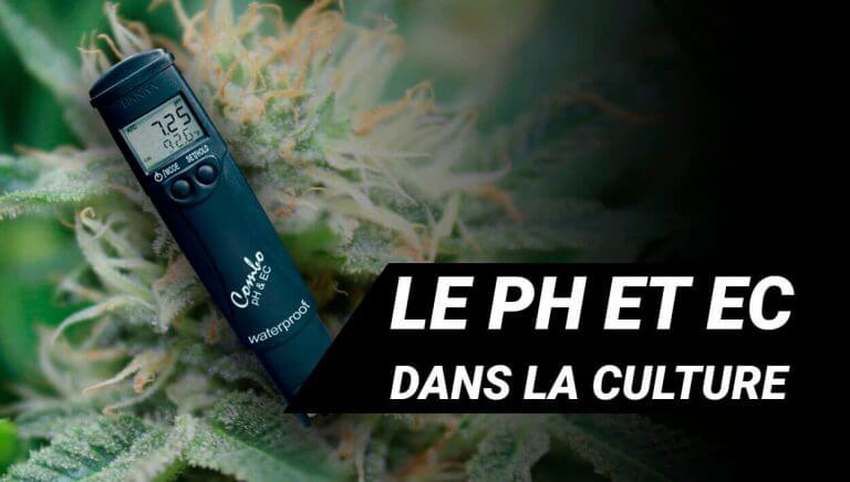 LE PH ET L’EC DANS UNE CULTURES DE MARIJUANA