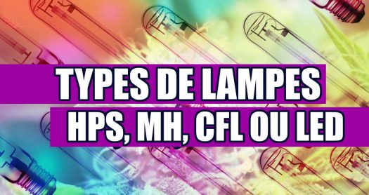 TYPES DE LAMPES POUR LA CULTURE DE LA MARIJUANA (HPS, MH, CFL OU LED)