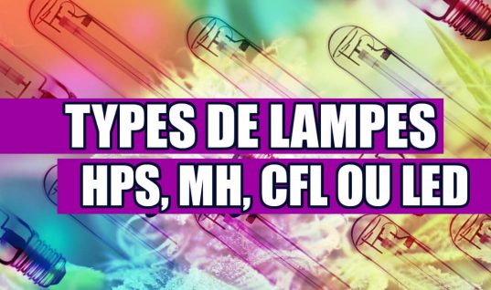 TYPES DE LAMPES POUR LA CULTURE DE LA MARIJUANA (HPS, MH, CFL OU LED)