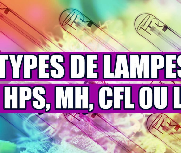 TYPES DE LAMPES POUR LA CULTURE DE LA MARIJUANA (HPS, MH, CFL OU LED)