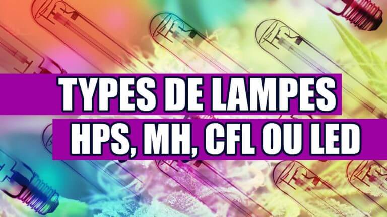 TYPES DE LAMPES POUR LA CULTURE DE LA MARIJUANA (HPS, MH, CFL OU LED)