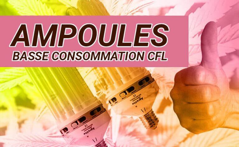 CULTURE EN INTÉRIEURE AVEC DES AMPOULES CFL À FAIBLE CONSOMMATION
