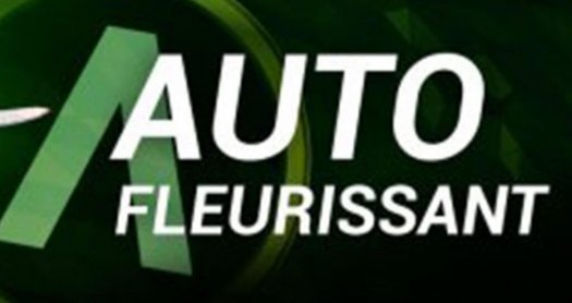 CULTURE AUTOFLORISSANTE