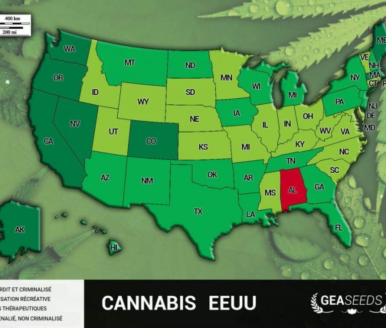 LEGALISEZ LE CANNABIS – CALIFORNIE, MASSACHUSSETS, NEVADA ET MAINE.