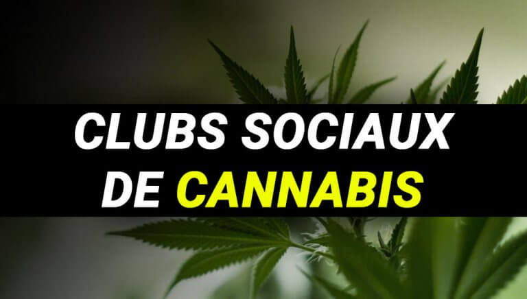 CLUBS SOCIAUX ET ASSOCIATIONS DE CONSOMMATEUR DE CANNABIS