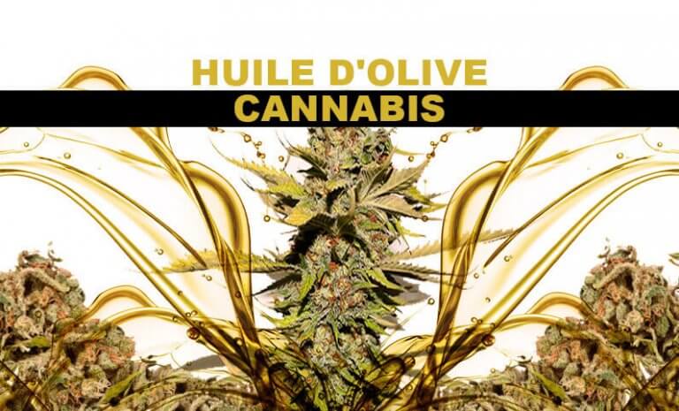 HUILE D’OLIVE AU CANNABIS – HUILE DE MARIJUANA