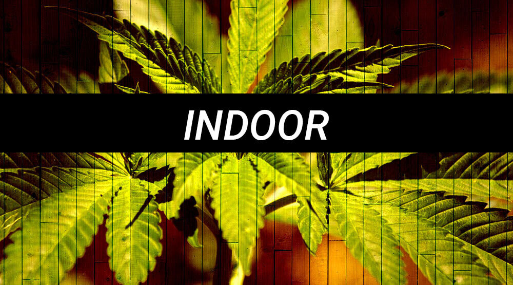 indoor