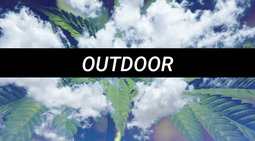 outdoor