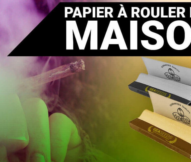 PAPIER A ROULER MAISONS – AUTRES ALTERNATIVE
