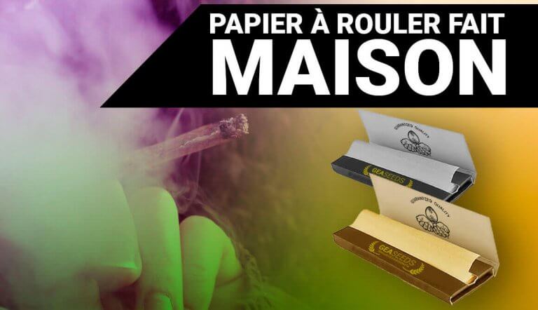 PAPIER A ROULER MAISONS – AUTRES ALTERNATIVE