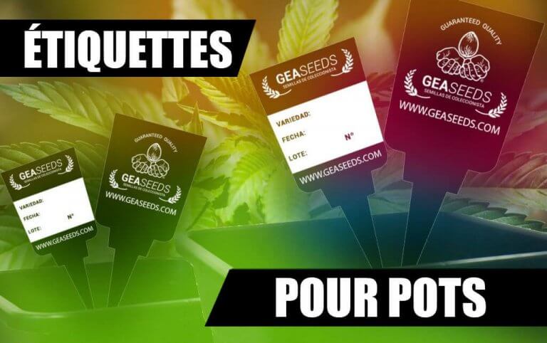 COMMENT FAIRE DES ÉTIQUETTES POUR LES POTS