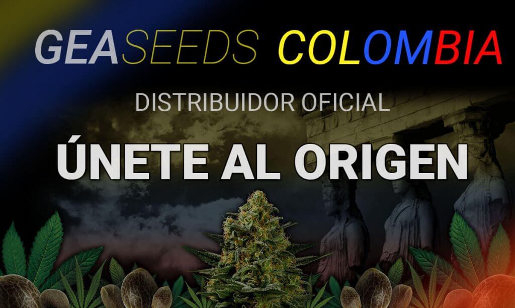 Gea Seeds Colombia